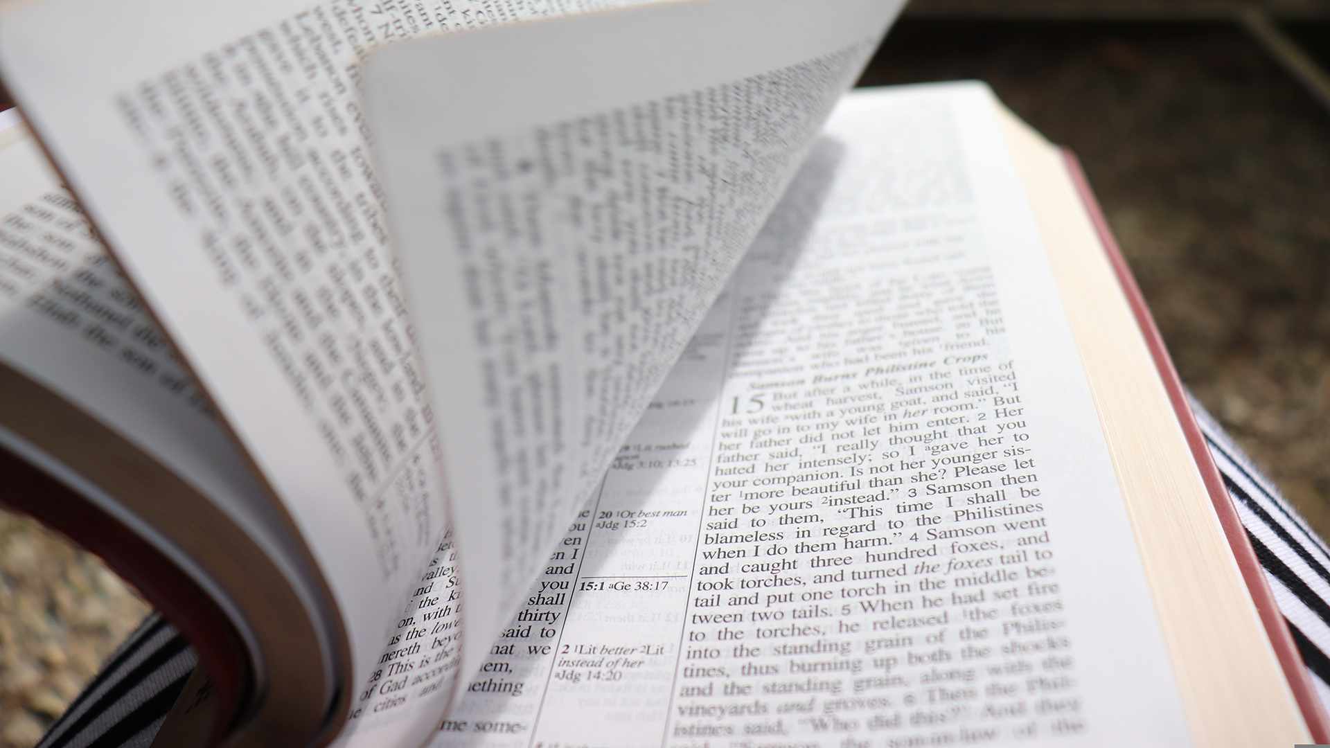 Example Prayers in the Bible